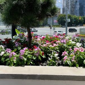 Meet your Posher, Cris